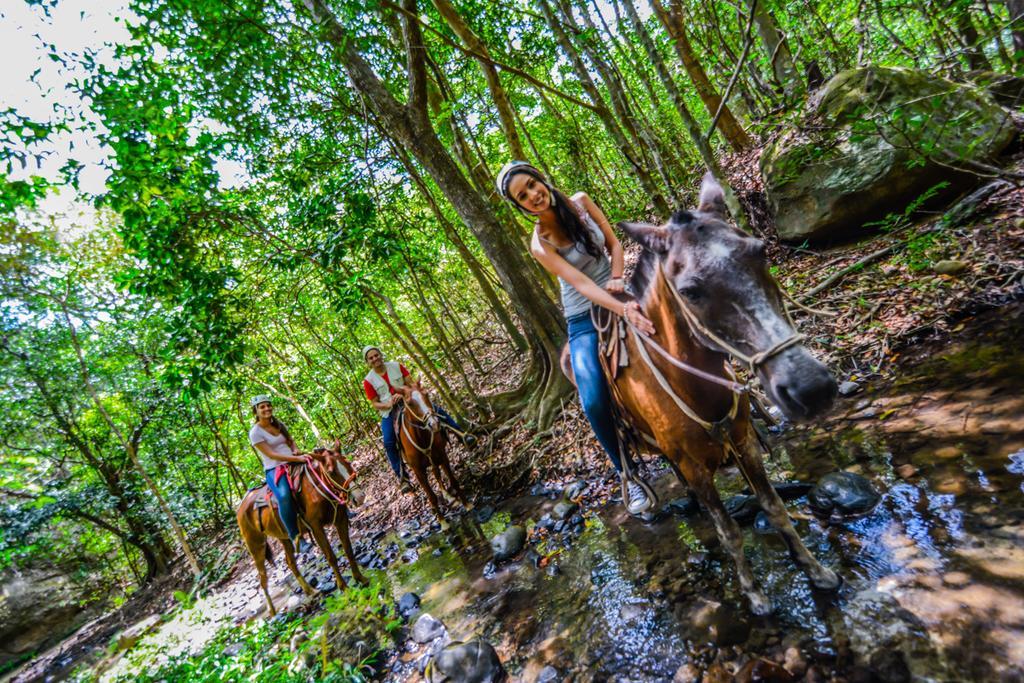 Vida Aventura Ranch Hotel Tanques Bagian luar foto