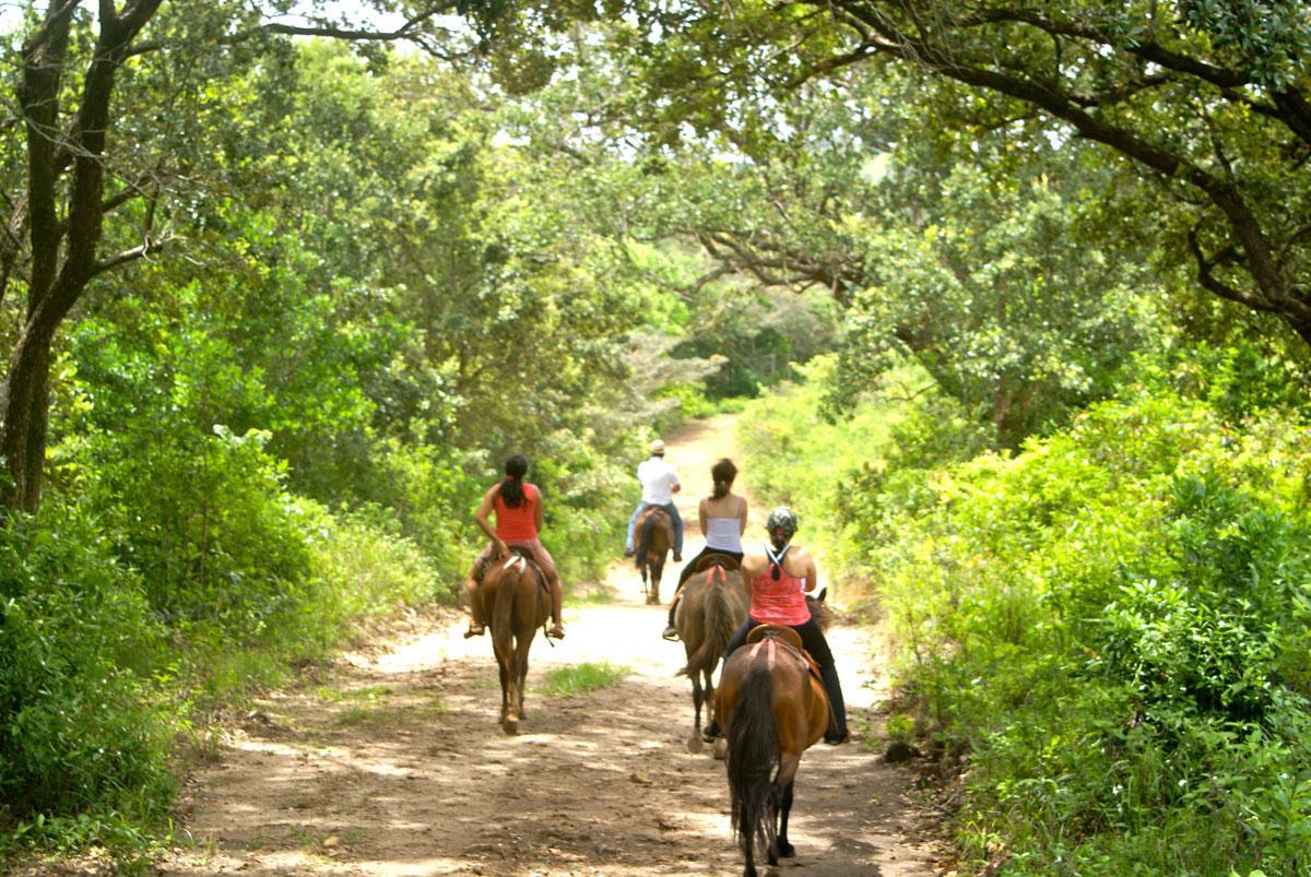 Vida Aventura Ranch Hotel Tanques Bagian luar foto